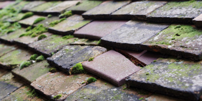 Water Eaton roof repair costs
